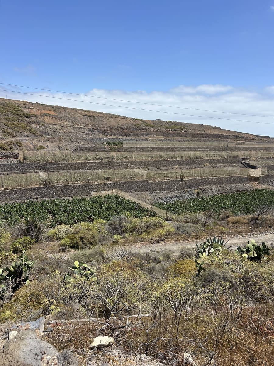 Grond te koop in Telde - € 2.000.000 (Ref: 9558807)