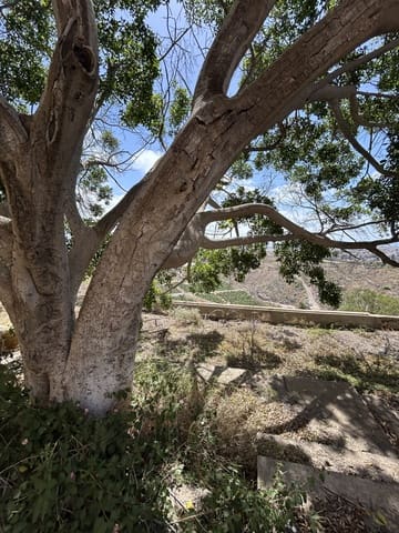 Grond te koop in Telde - € 2.000.000 (Ref: 9558807)