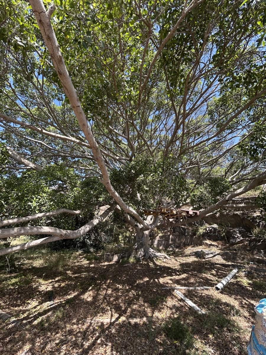 Grond te koop in Telde - € 2.000.000 (Ref: 9558807)