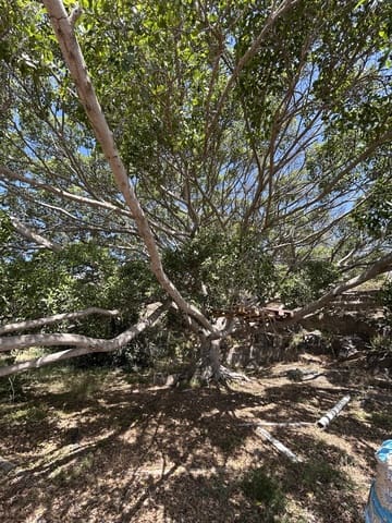 Grond te koop in Telde - € 2.000.000 (Ref: 9558807)