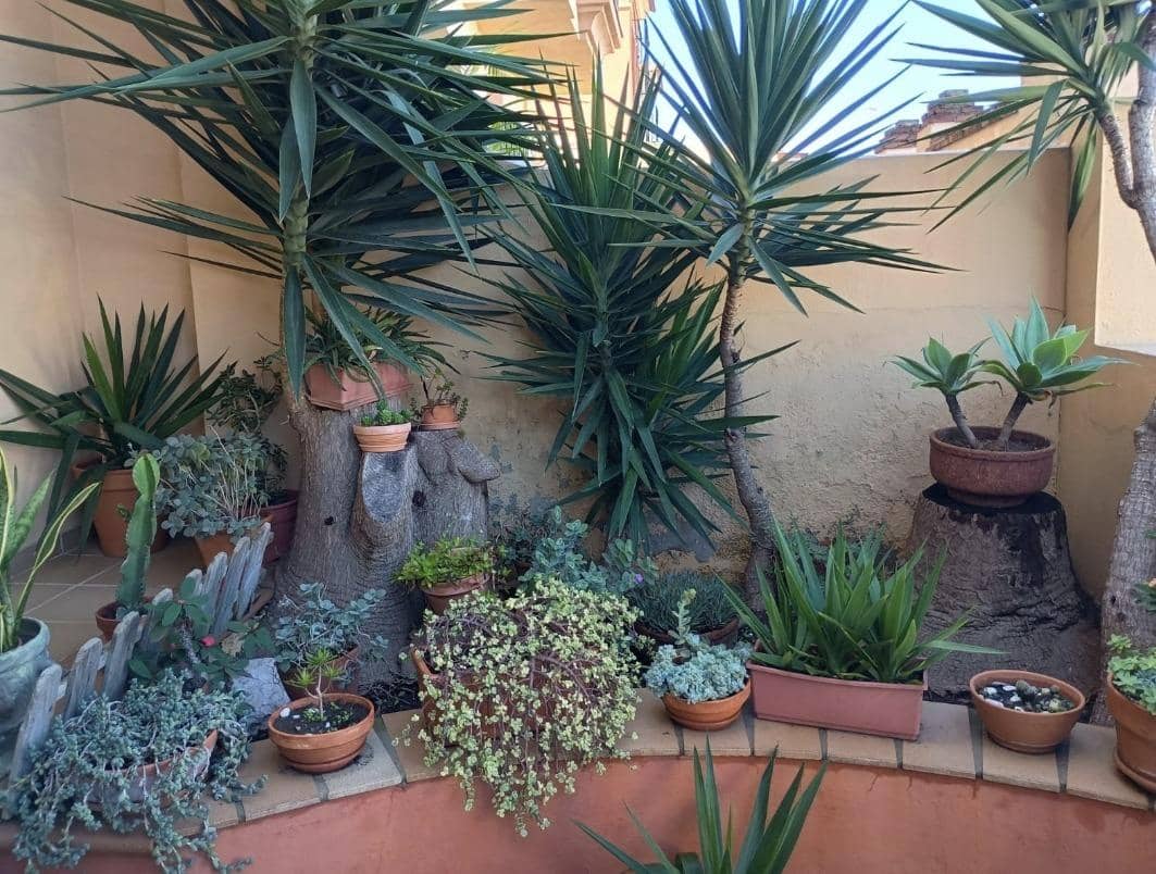 3 chambre Villa/Maison à vendre à Algeciras - 310 000 € (Ref: 9674478)