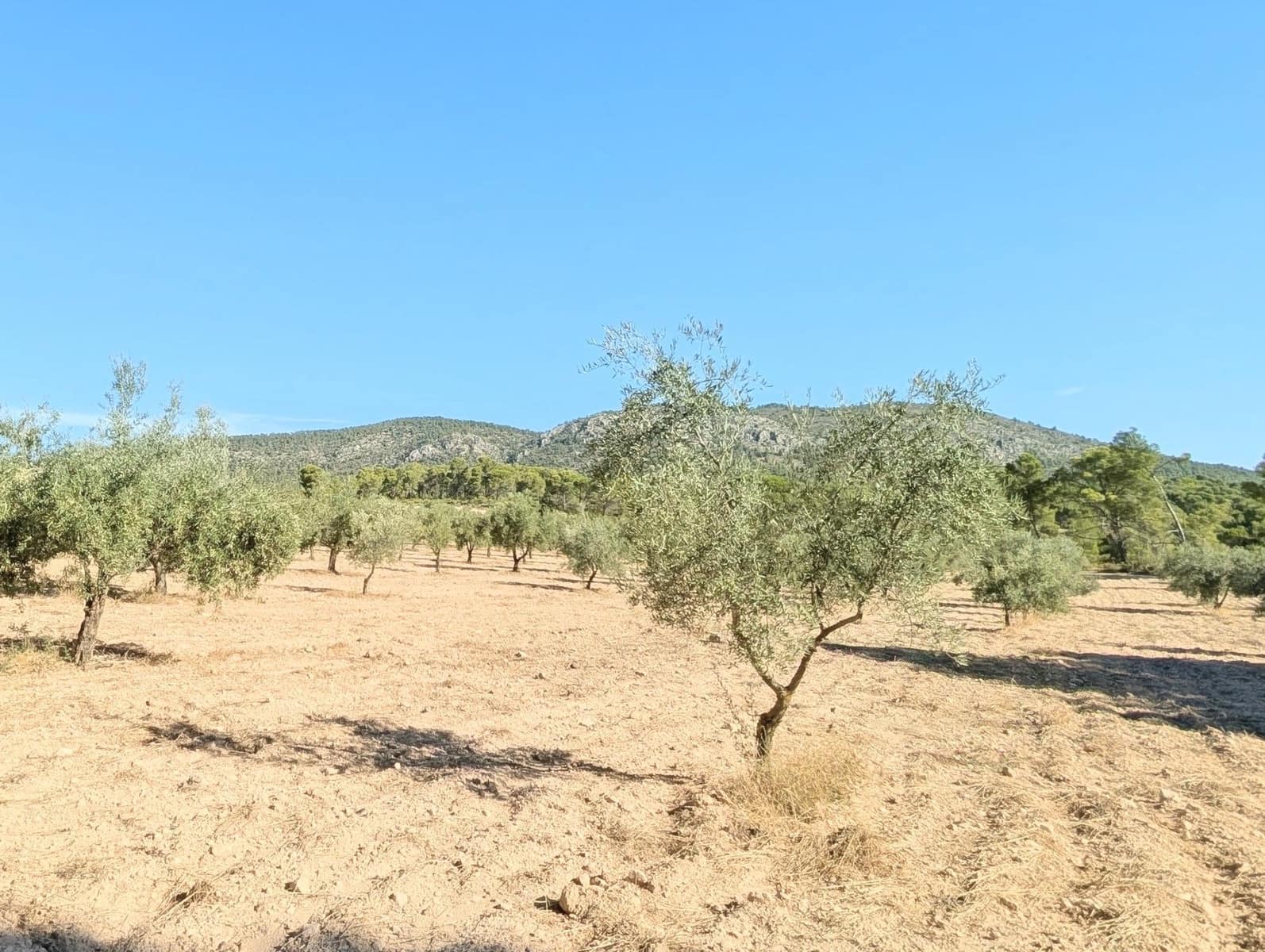 10 bedroom Finca/Country House for sale in Ibi with garage - € 960,000 (Ref: 10115777)