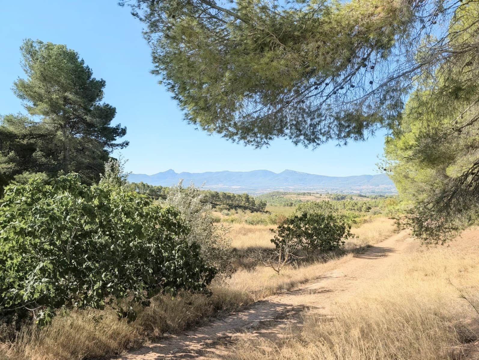 10 bedroom Finca/Country House for sale in Ibi with garage - € 960,000 (Ref: 10115777)