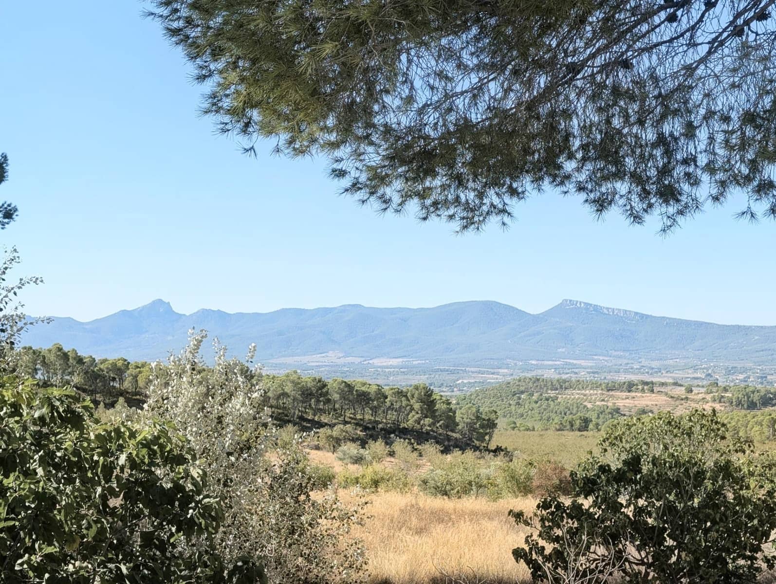 10 bedroom Finca/Country House for sale in Ibi with garage - € 960,000 (Ref: 10115777)