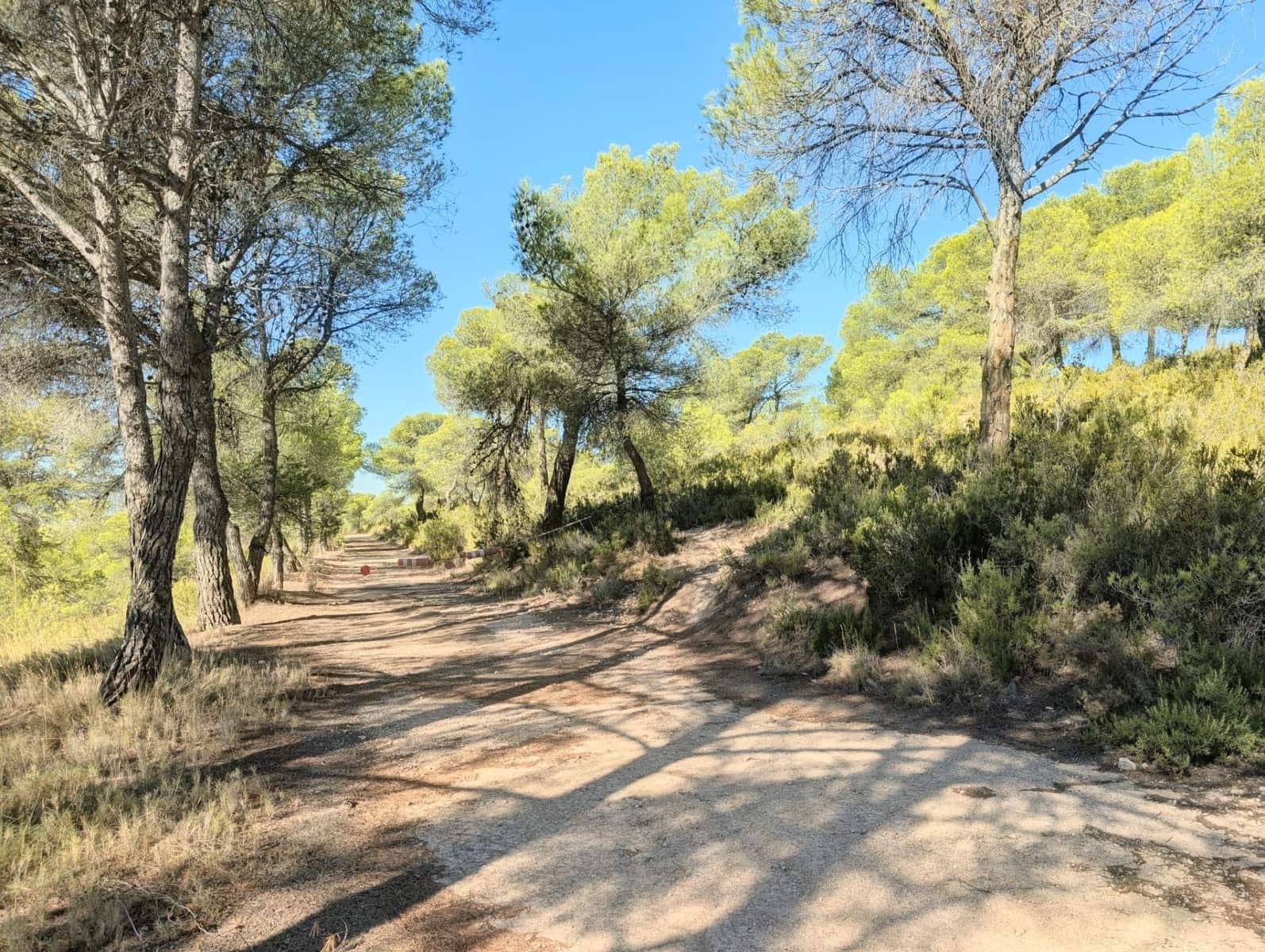 10 bedroom Finca/Country House for sale in Ibi with garage - € 960,000 (Ref: 10115777)
