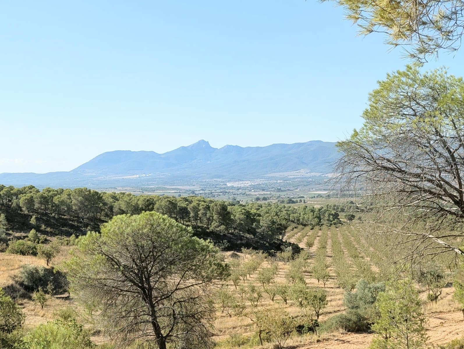 10 bedroom Finca/Country House for sale in Ibi with garage - € 960,000 (Ref: 10115777)