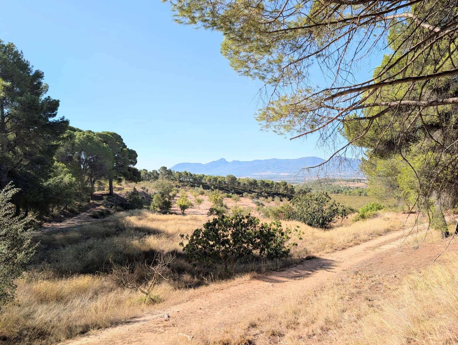 10 bedroom Finca/Country House for sale in Ibi with garage - € 960,000 (Ref: 10115777)