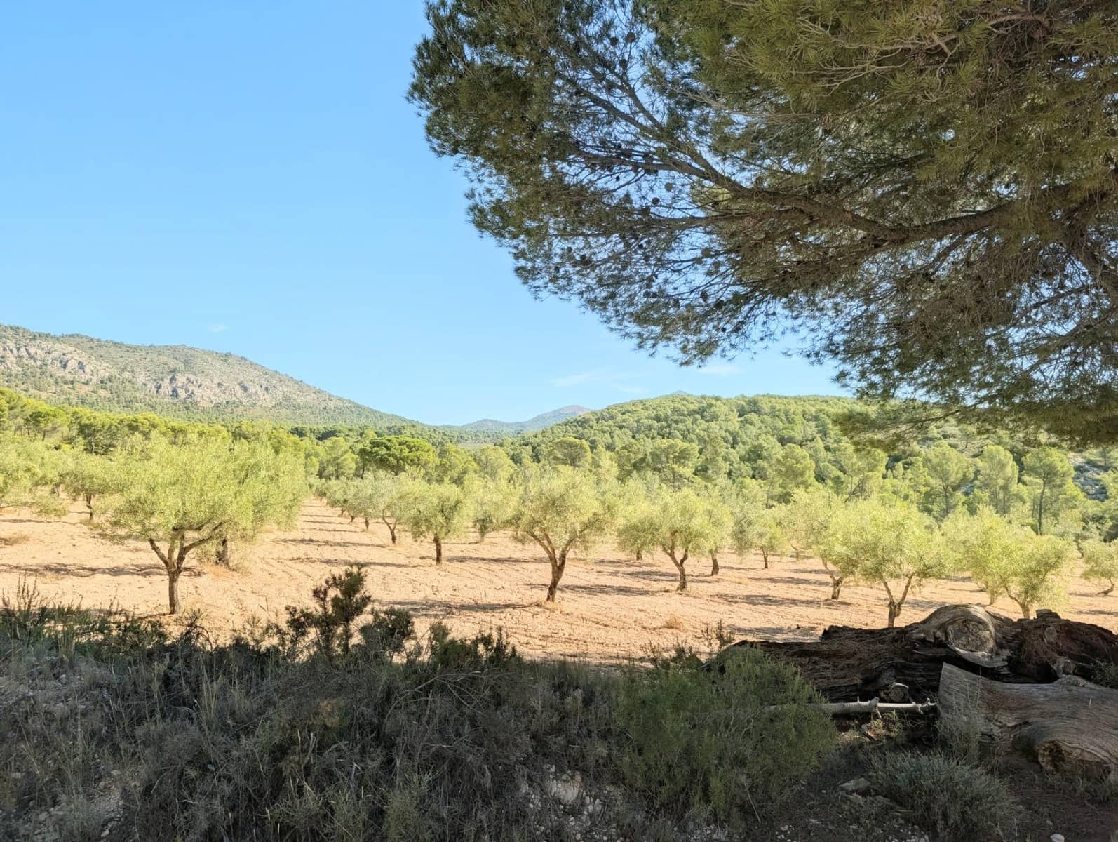 10 bedroom Finca/Country House for sale in Ibi with garage - € 960,000 (Ref: 10115777)