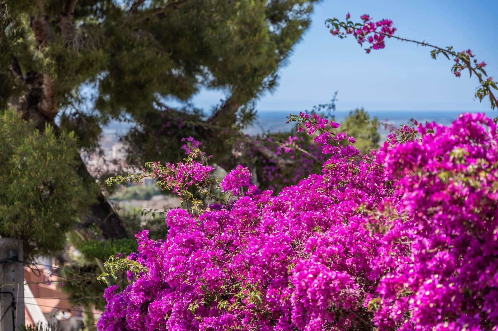 5 soverom Villa til salgs i Esplugues de Llobregat med garasje - € 1 650 000 (Ref: 8790024)