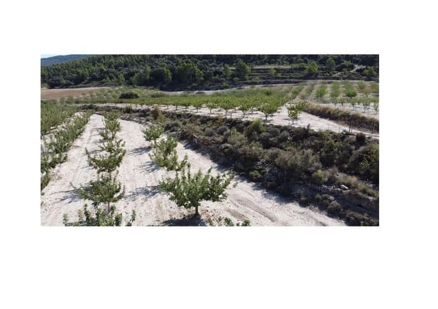 Bouwgrond te koop in Jijona / Xixona - € 99.000 (Ref: 8790038)