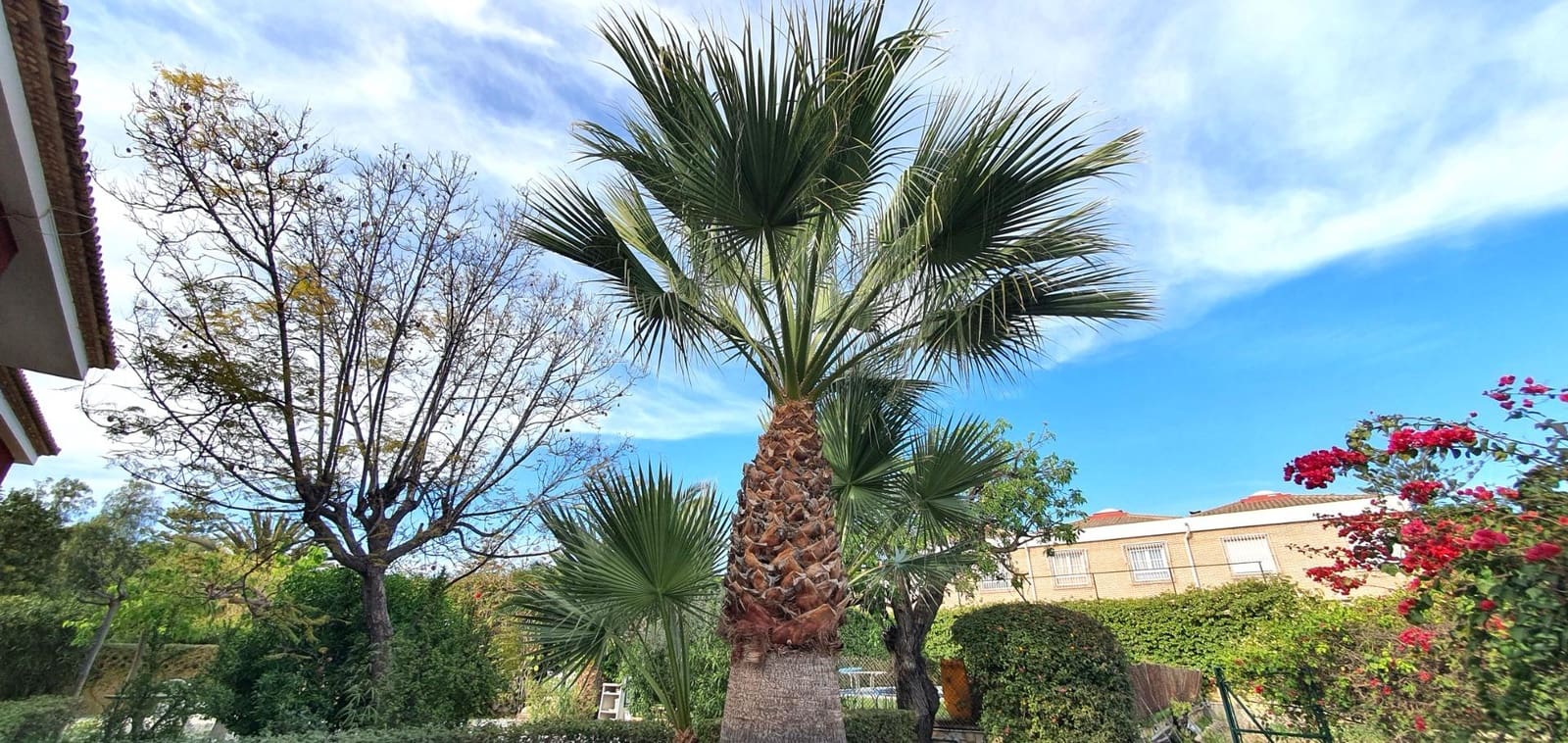 5 Zimmer Villa zu verkaufen in La Font mit Pool Garage - 1.236.000 € (Ref: 9012138)