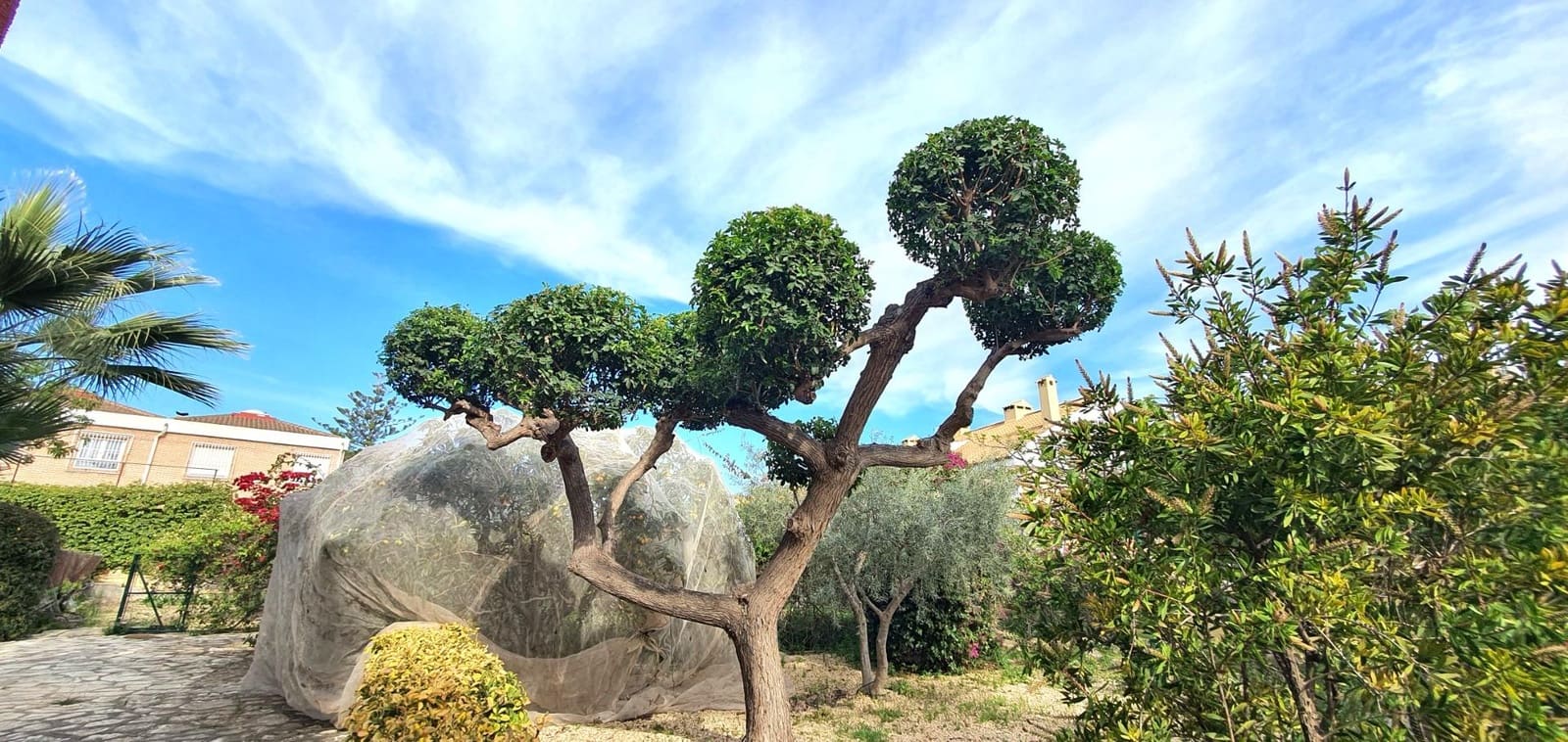 5 chambre Villa/Maison à vendre à La Font avec piscine garage - 1 236 000 € (Ref: 9012138)