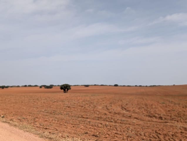 18 sypialnia Finka/Dom wiejski na sprzedaż w Argamasilla de Alba - 13 000 000 € (Ref: 9078078)