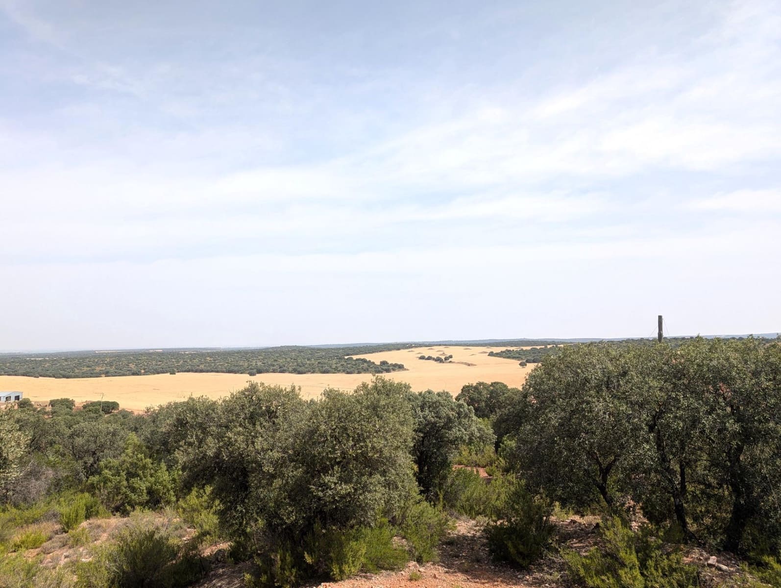 18 soverom Finca/Herregård til salgs i Argamasilla de Alba - € 13 000 000 (Ref: 9078078)