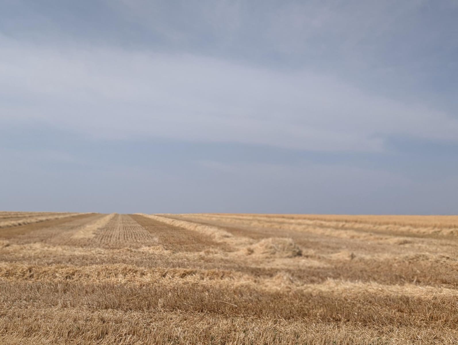 18 soverom Finca/Herregård til salgs i Argamasilla de Alba - € 13 000 000 (Ref: 9078078)