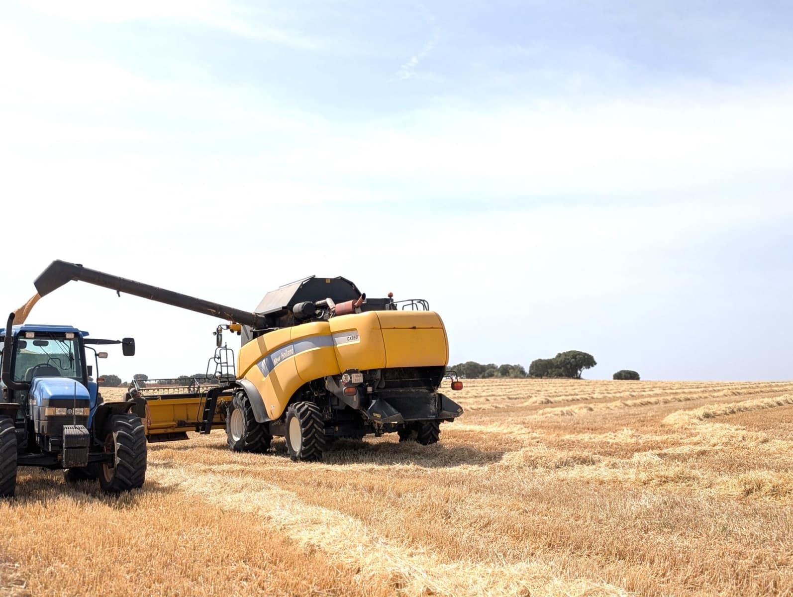 18 soverom Finca/Herregård til salgs i Argamasilla de Alba - € 13 000 000 (Ref: 9078078)