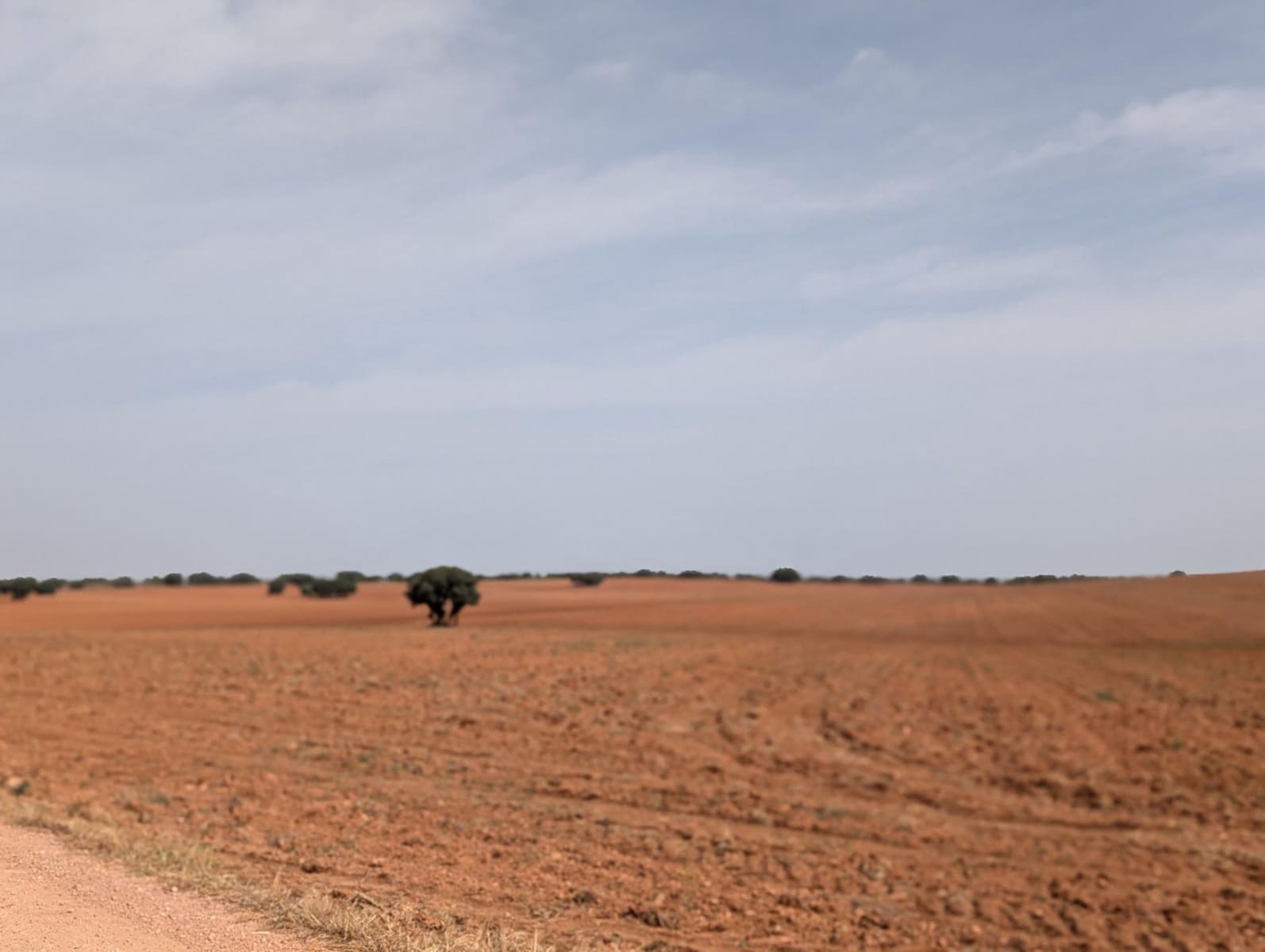 18 sypialnia Finka/Dom wiejski na sprzedaż w Argamasilla de Alba - 13 000 000 € (Ref: 9078078)