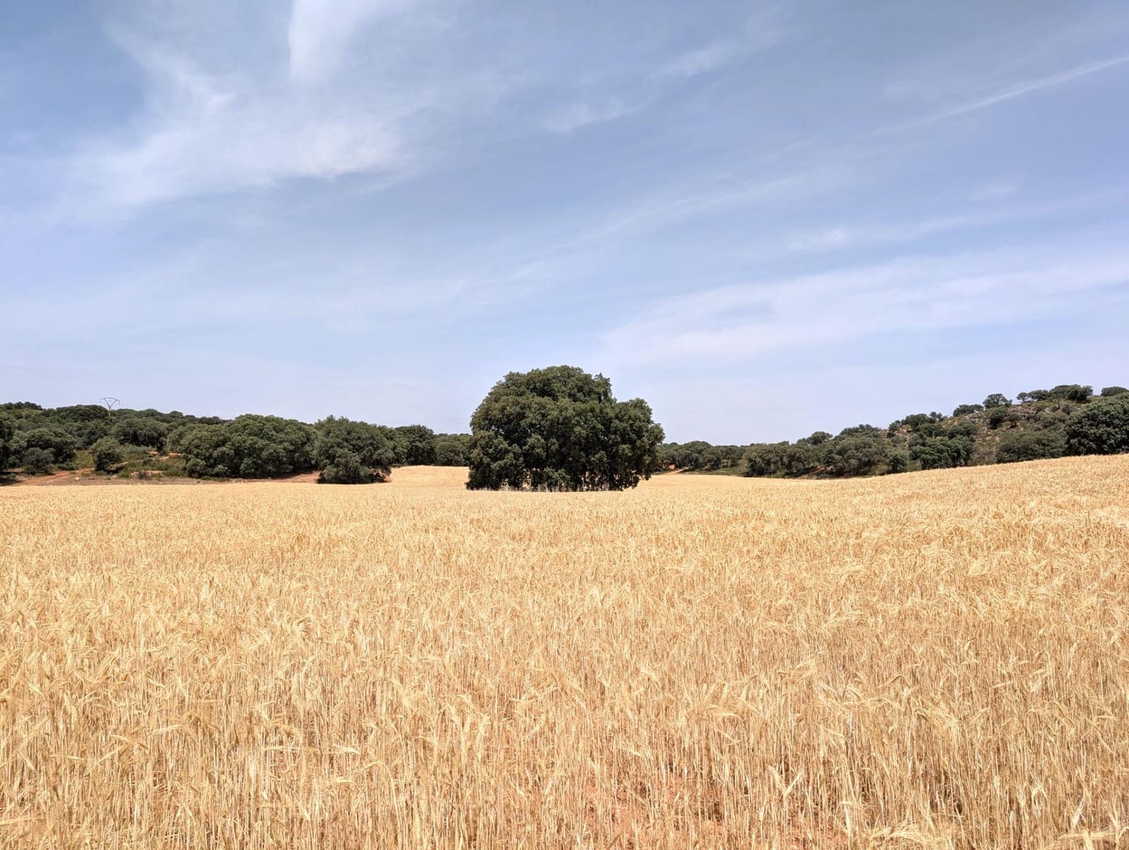 18 camera da letto Finca/Casa di Campagna in vendita in Argamasilla de Alba - 13.000.000 € (Rif: 9078078)