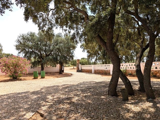 18 camera da letto Finca/Casa di Campagna in vendita in Argamasilla de Alba - 13.000.000 € (Rif: 9078078)