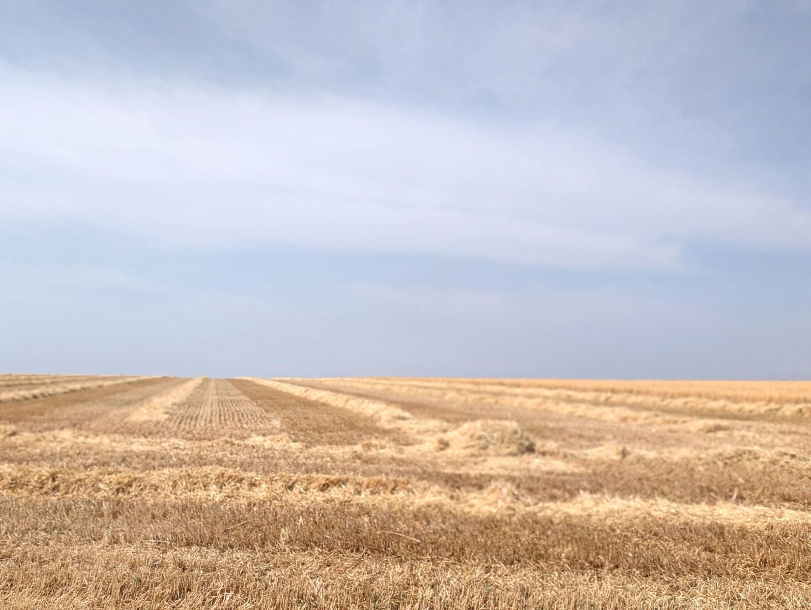 Finca/Casa Rural de 18 habitaciones en Argamasilla de Alba en venta - 13.000.000 € (Ref: 9078078)