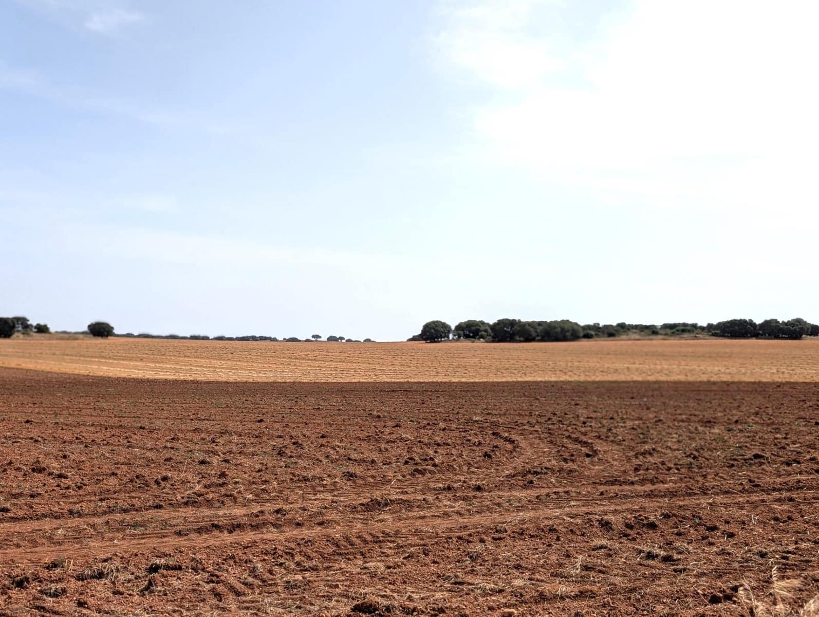 Finca/Casa Rural de 18 habitaciones en Argamasilla de Alba en venta - 13.000.000 € (Ref: 9078078)