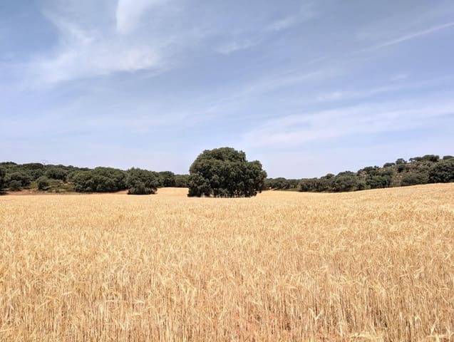 18 chambre Finca/Maison de Campagne à vendre à Argamasilla de Alba - 13 000 000 € (Ref: 9078078)