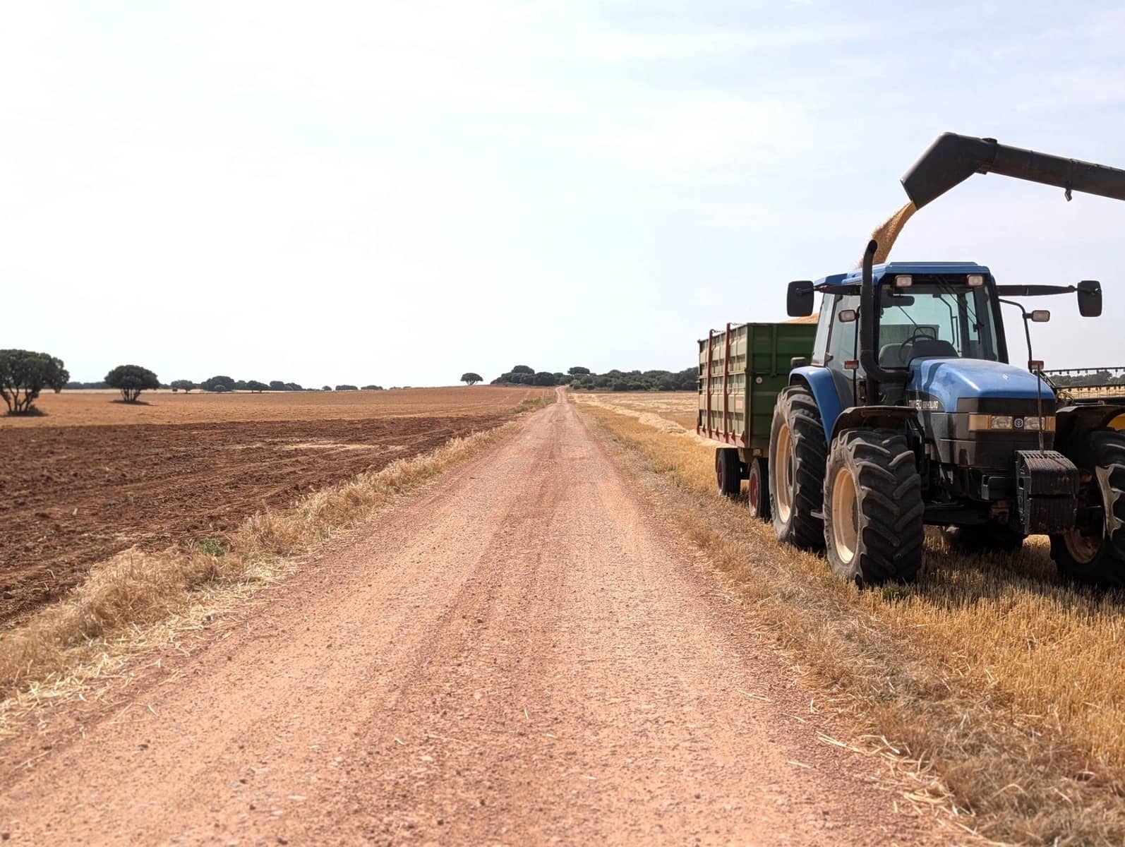 18 soveværelse Finca/Landehus til salg i Argamasilla de Alba - € 13.000.000 (Ref: 9078078)