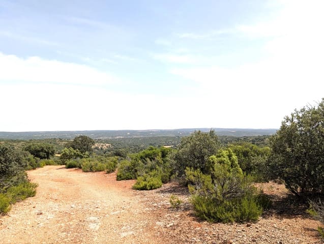 18 chambre Finca/Maison de Campagne à vendre à Argamasilla de Alba - 13 000 000 € (Ref: 9078078)