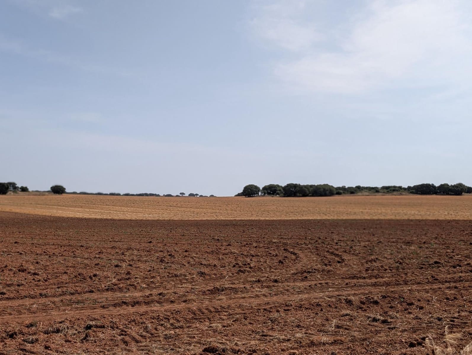 18 slaapkamer Finca/Landhuis te koop in Argamasilla de Alba - € 13.000.000 (Ref: 9078078)