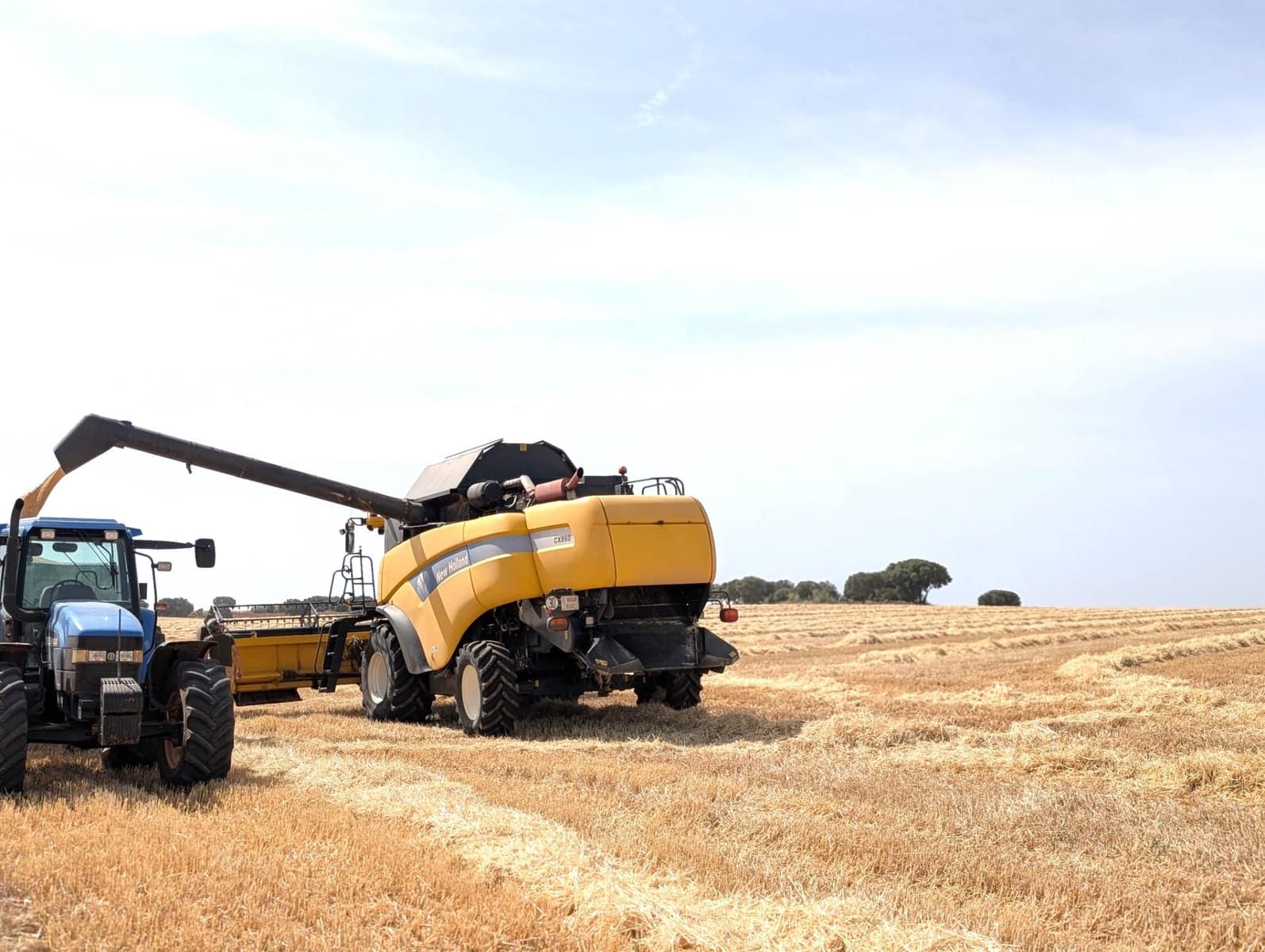 18 slaapkamer Finca/Landhuis te koop in Argamasilla de Alba - € 13.000.000 (Ref: 9078078)