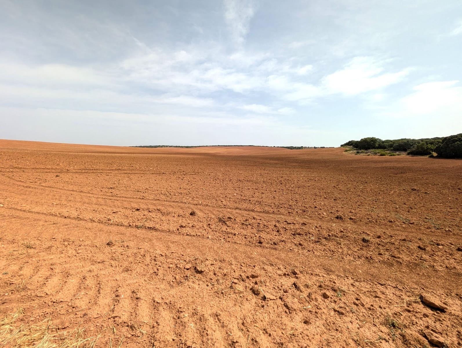 18 slaapkamer Finca/Landhuis te koop in Argamasilla de Alba - € 13.000.000 (Ref: 9078078)