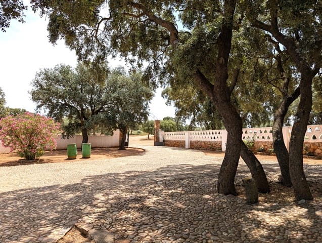 18 quarto Quinta/Casa Rural para venda em Argamasilla de Alba - 13 000 000 € (Ref: 9078078)