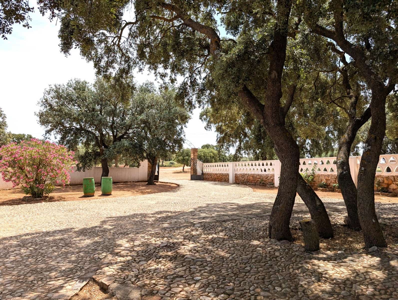18 bedroom Finca/Country House for sale in Argamasilla de Alba - € 13,000,000 (Ref: 9078078)