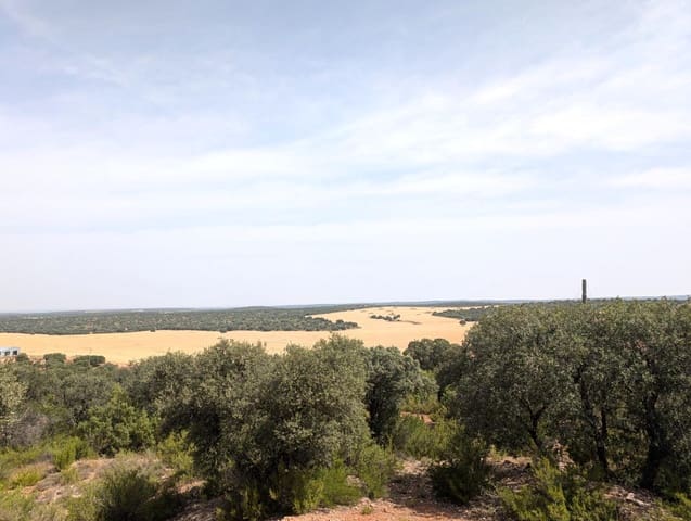 18 chambre Finca/Maison de Campagne à vendre à Argamasilla de Alba - 13 000 000 € (Ref: 9078078)