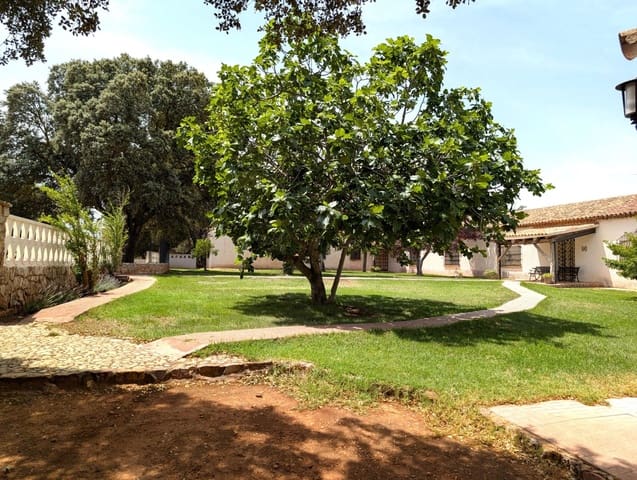 18 chambre Finca/Maison de Campagne à vendre à Argamasilla de Alba - 13 000 000 € (Ref: 9078078)