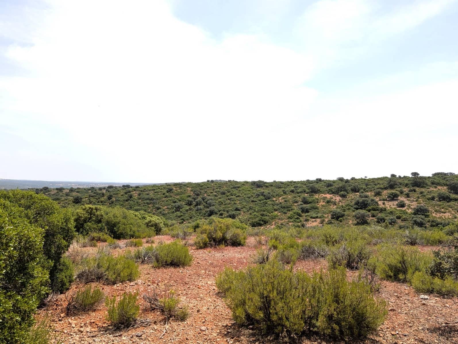 18 soverom Finca/Herregård til salgs i Argamasilla de Alba - € 13 000 000 (Ref: 9078078)