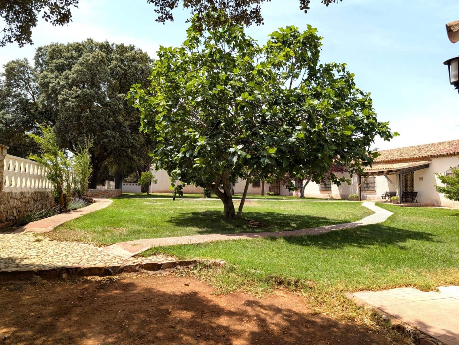 18 soverom Finca/Herregård til salgs i Argamasilla de Alba - € 13 000 000 (Ref: 9078078)