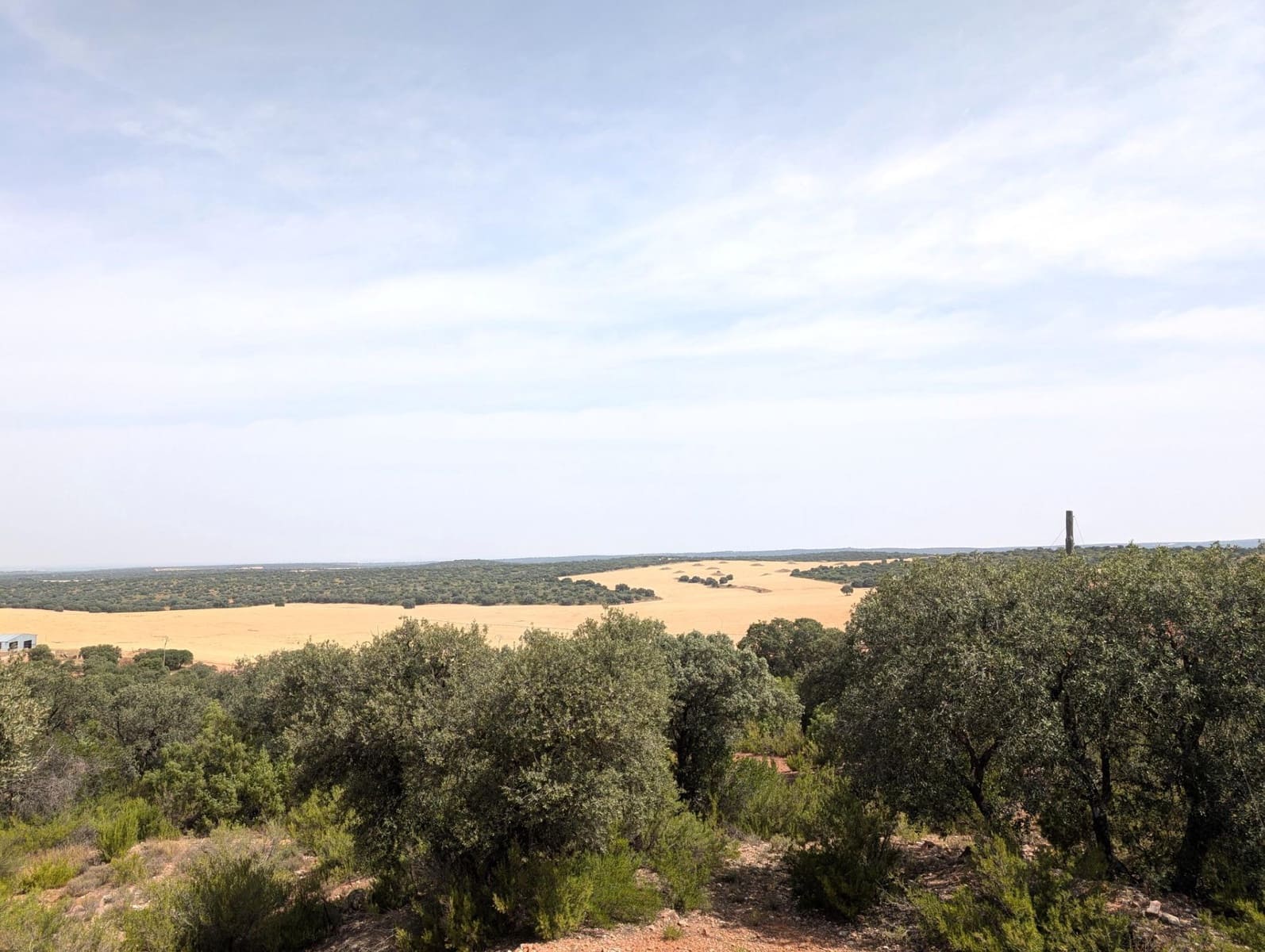 18 chambre Finca/Maison de Campagne à vendre à Argamasilla de Alba - 13 000 000 € (Ref: 9078078)