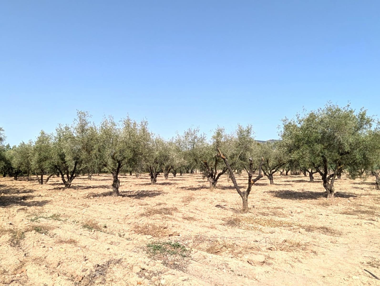 8 bedroom Finca/Country House for sale in Onil with garage - € 550,000 (Ref: 9165902)