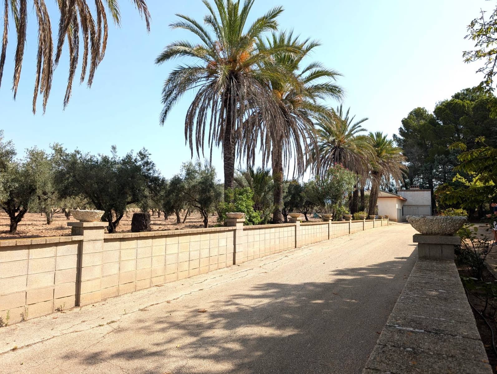 8 camera da letto Finca/Casa di Campagna in vendita in Onil con garage - 550.000 € (Rif: 9165902)