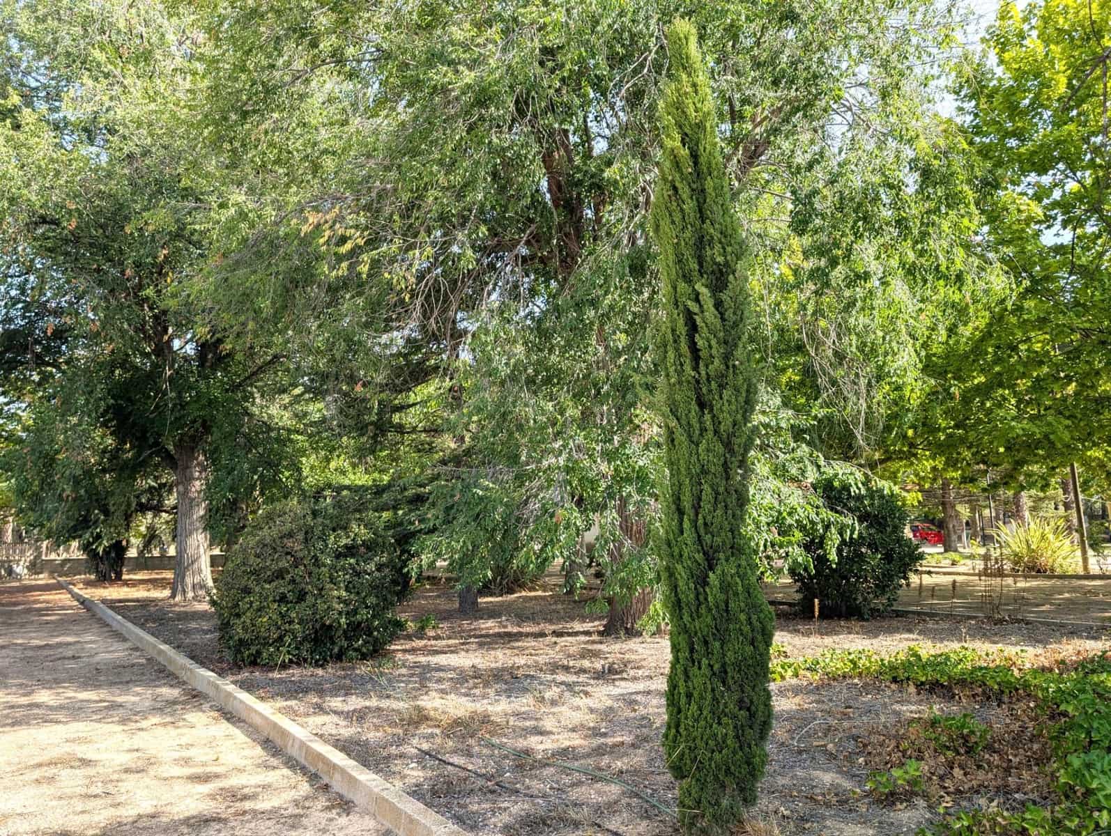 8 soverom Finca/Herregård til salgs i Onil med garasje - € 550 000 (Ref: 9165902)