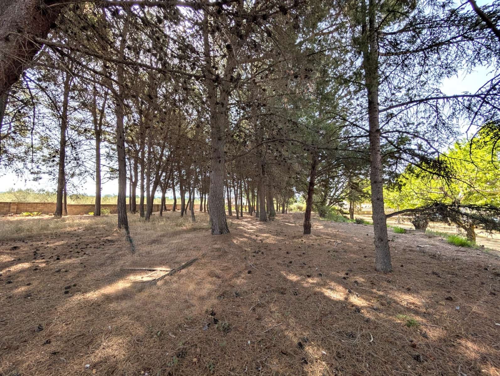 8 soverom Finca/Herregård til salgs i Onil med garasje - € 550 000 (Ref: 9165902)