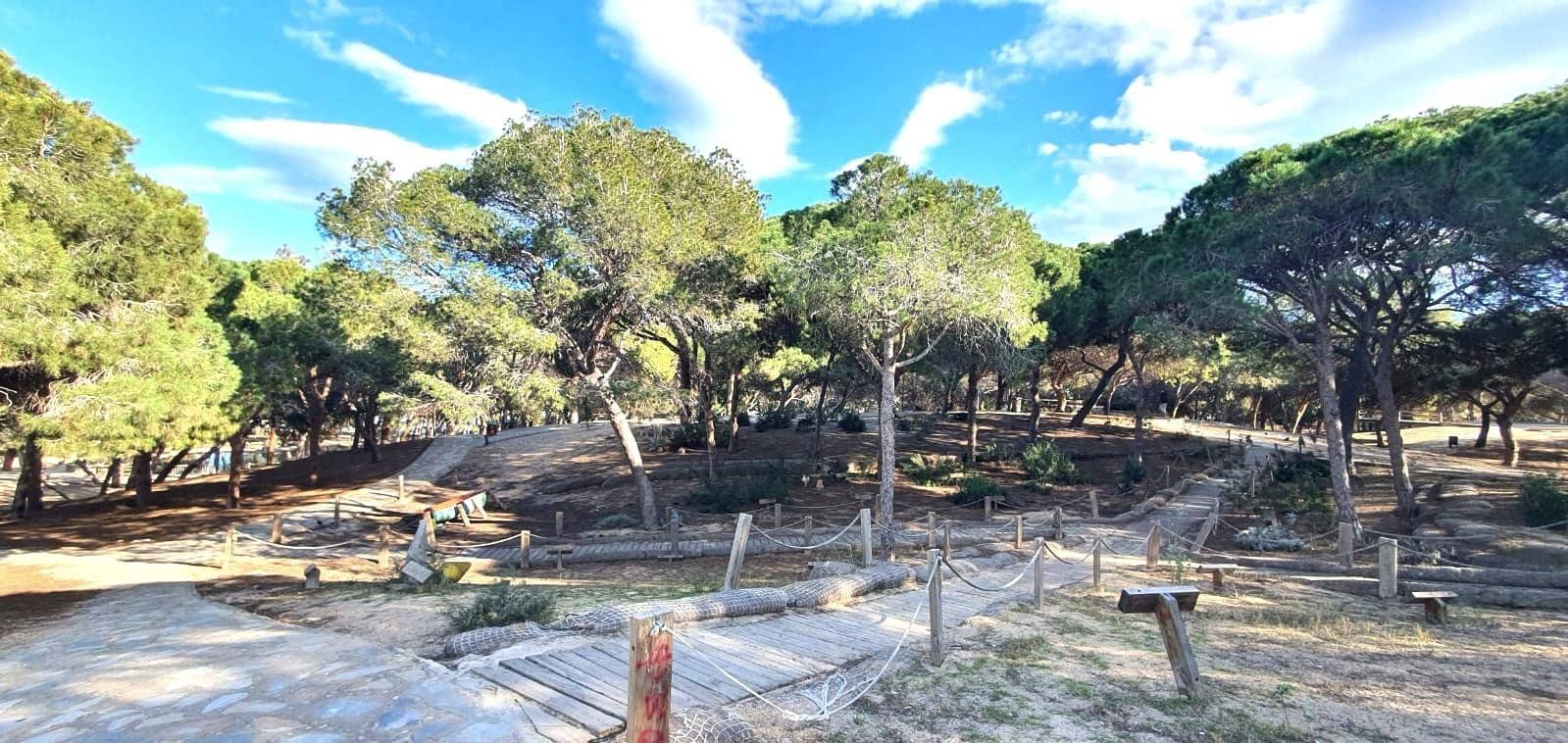 4 soverom Leilighet til salgs i Guardamar del Segura - € 185 000 (Ref: 9519094)