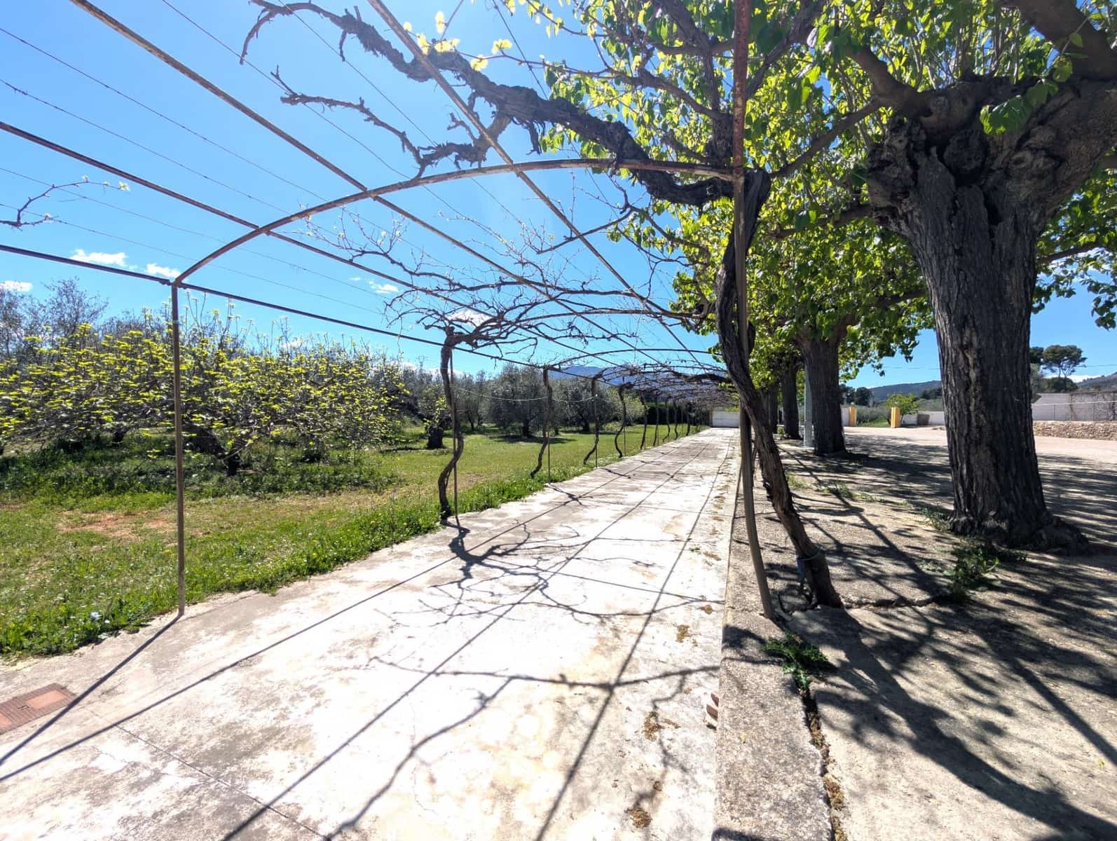 Finca/Casa Rural de 5 habitaciones en Gaianes en venta con garaje - 484.000 € (Ref: 9741849)