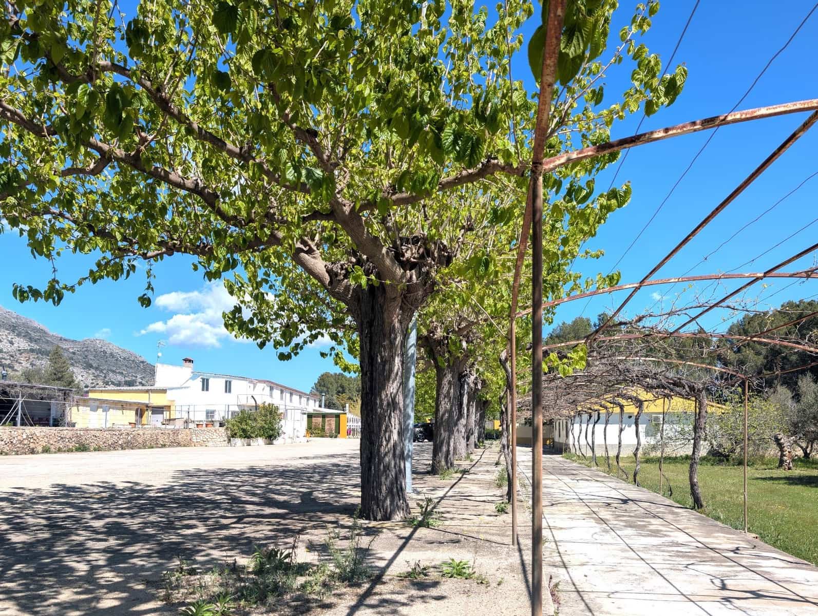 Finca/Casa Rural de 5 habitaciones en Gaianes en venta con garaje - 484.000 € (Ref: 9741849)