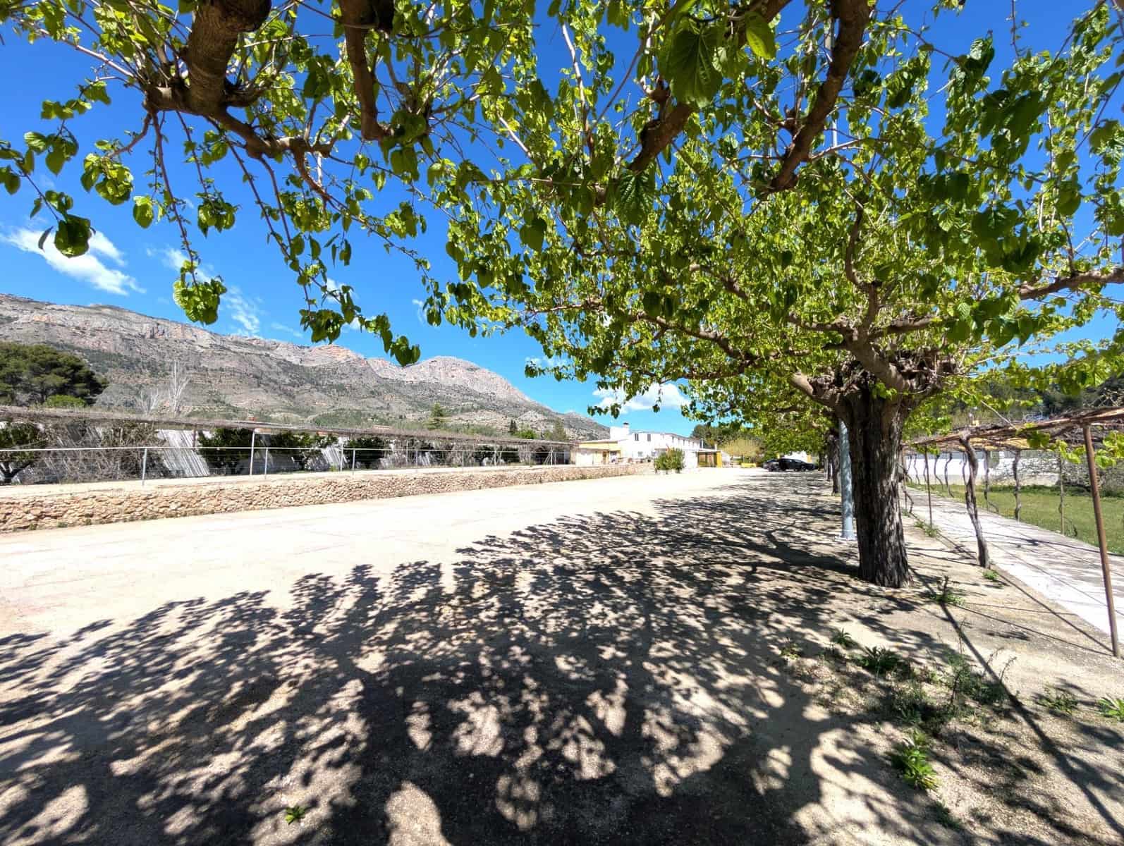 Finca/Casa Rural de 5 habitaciones en Gaianes en venta con garaje - 484.000 € (Ref: 9741849)