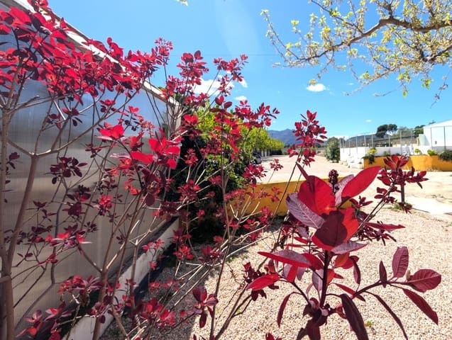 5 soveværelse Villa til salg i Gaianes med garage - € 484.000 (Ref: 9741849)