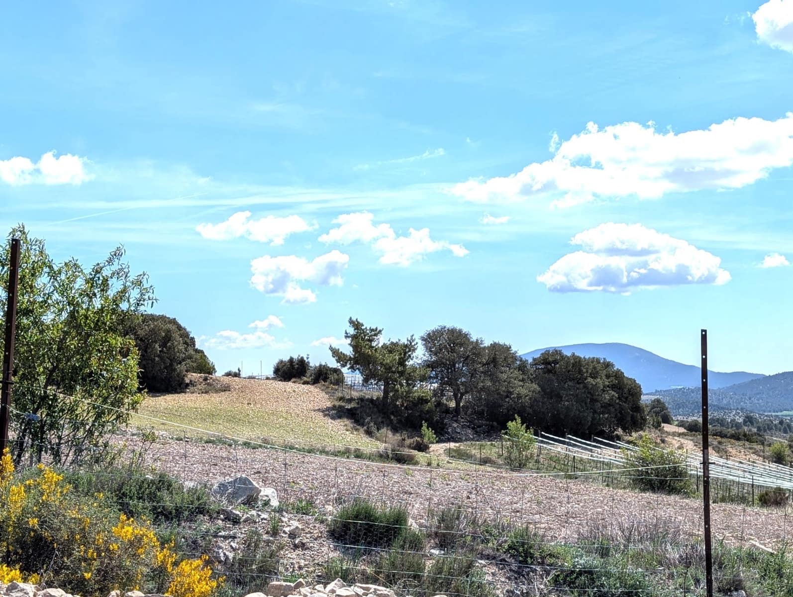 4 soverom Finca/Herregård til salgs i Moratalla - € 950 000 (Ref: 9799408)