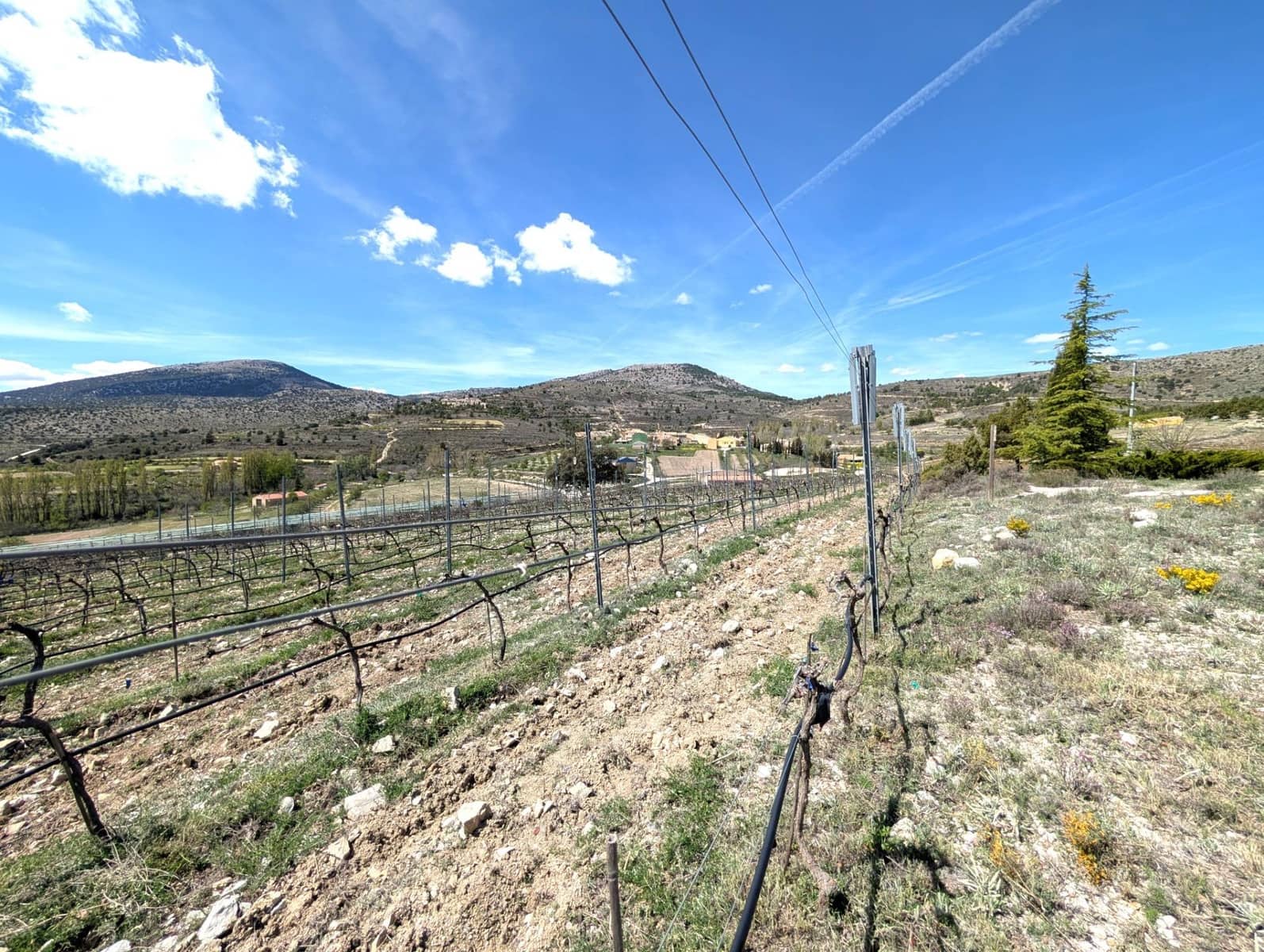 4 soverom Finca/Herregård til salgs i Moratalla - € 950 000 (Ref: 9799408)