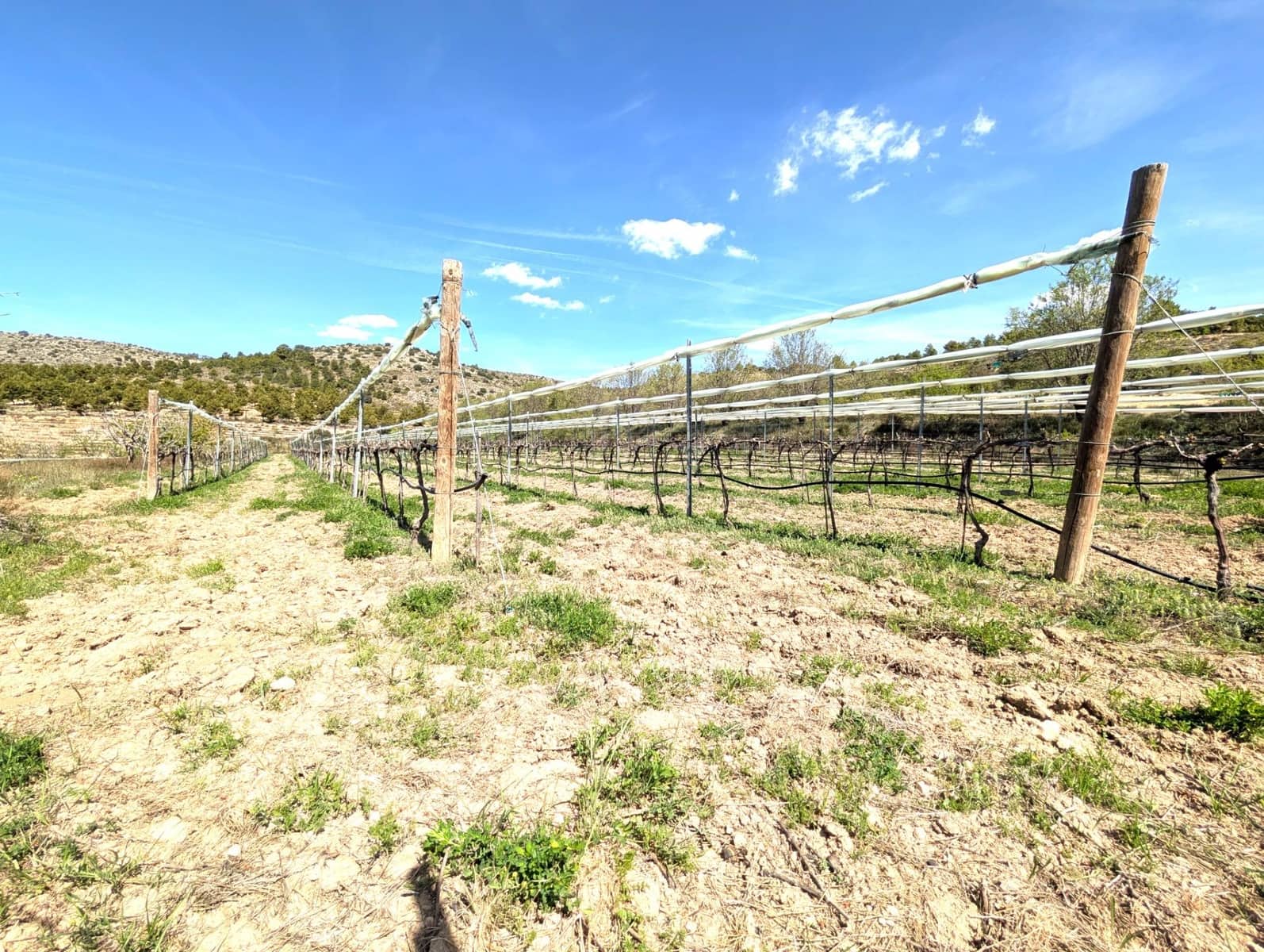 4 soverom Finca/Herregård til salgs i Moratalla - € 950 000 (Ref: 9799408)